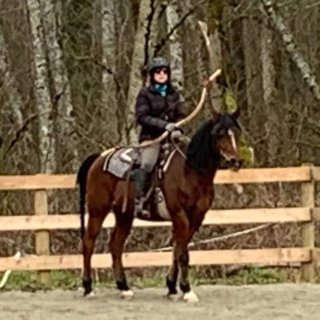 Mounted Practice
