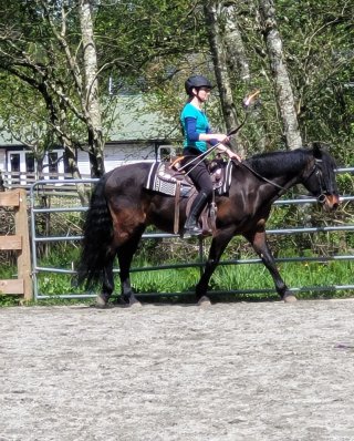 Mounted Practice at Val de Monts
