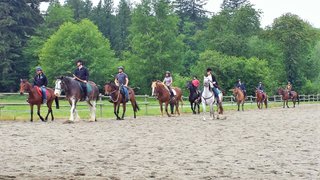 Intro Clinic
