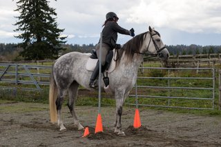 Working Equitation Workshop