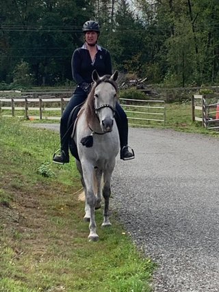 Condesa 1rst Time Bridleless