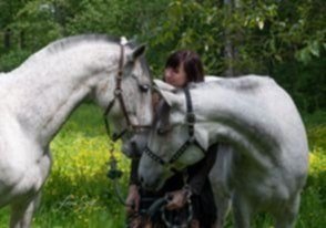 6efd9b75-fad2-4de3-9109-7f0177d12f67