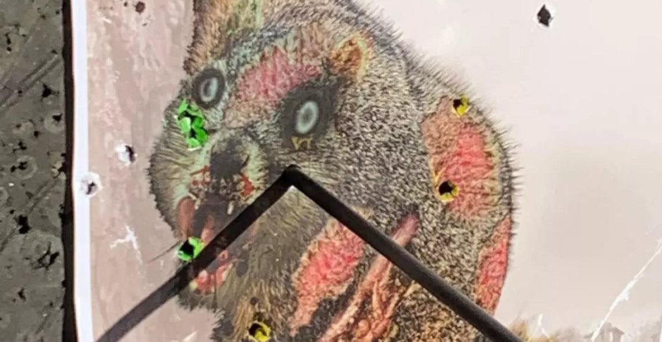 IMG_20220123_173248_374