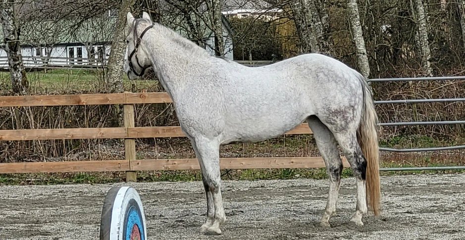 IMG_20220216_213005_654